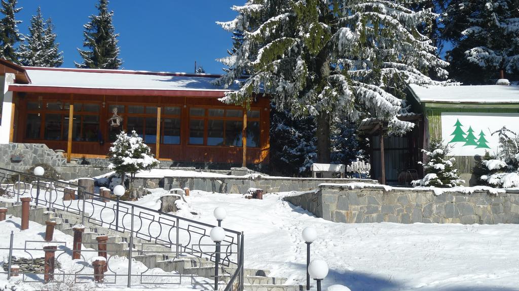 Hotel Elitza Pamporovo Exterior photo